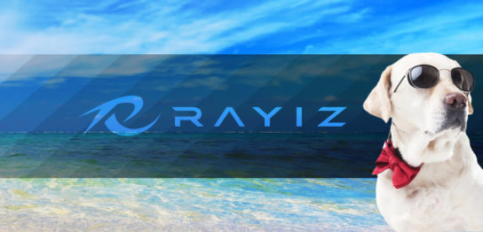 可視光線透過率RAYIZ