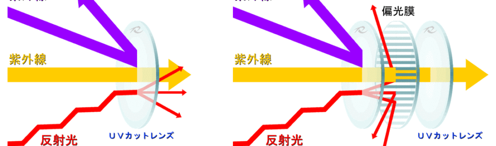 普通のサングラスと偏光サングラスの違い