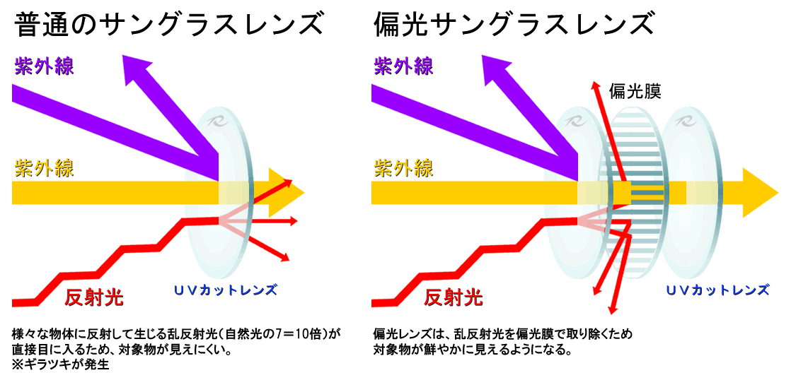 偏光サングラスと普通のサングラスの違いは良視界か悪視界！ | 偏光サングラスといえばレイズ-RAYIZ OPTICS